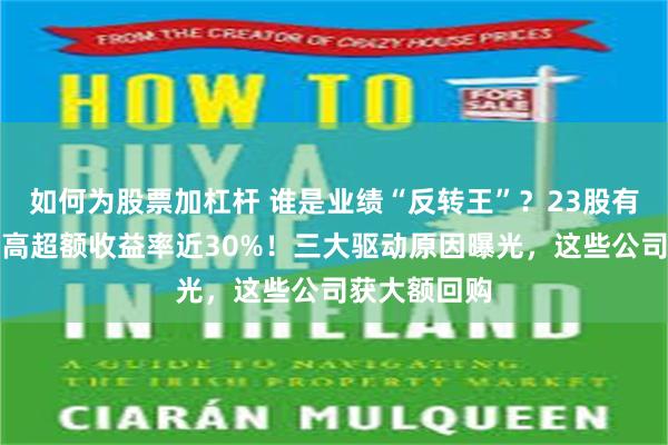 如何为股票加杠杆 谁是业绩“反转王”？23股有望蝶变，最高超额收益率近30%！三大驱动原因曝光，这些公司获大额回购