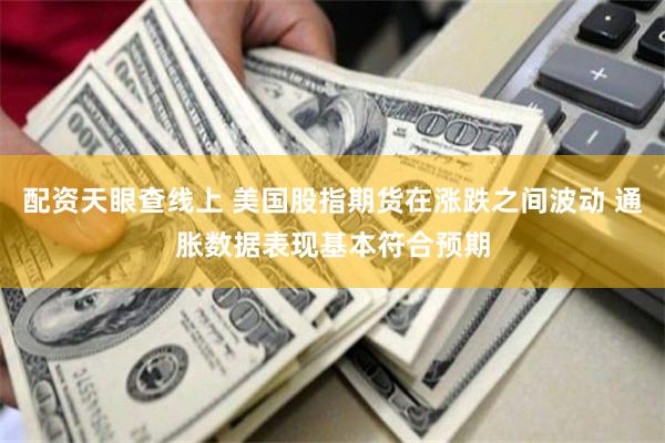 配资天眼查线上 美国股指期货在涨跌之间波动 通胀数据表现基本符合预期