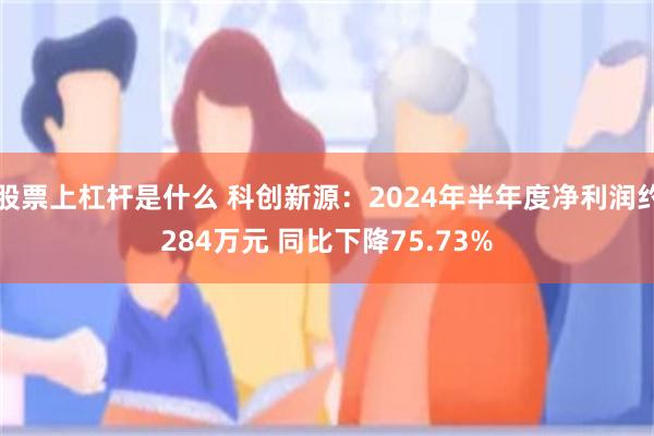 股票上杠杆是什么 科创新源：2024年半年度净利润约284万元 同比下降75.73%