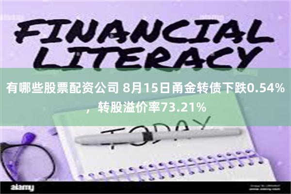 有哪些股票配资公司 8月15日甬金转债下跌0.54%，转股溢价率73.21%
