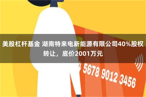 美股杠杆基金 湖南特来电新能源有限公司40%股权转让，底价2001万元