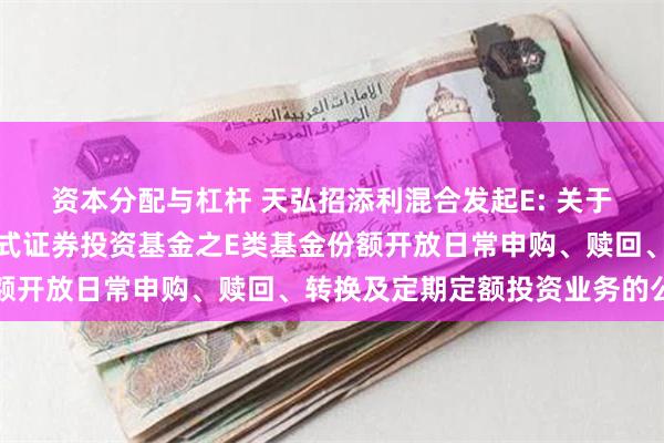 资本分配与杠杆 天弘招添利混合发起E: 关于天弘招添利混合型发起式证券投资基金之E类基金份额开放日常申购、赎回、转换及定期定额投资业务的公告