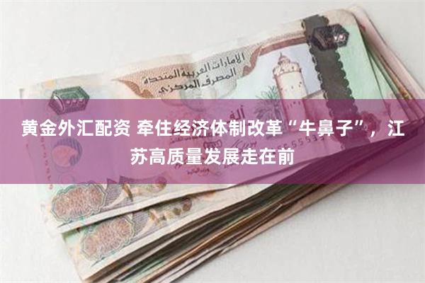 黄金外汇配资 牵住经济体制改革“牛鼻子”，江苏高质量发展走在前