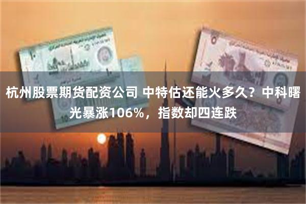 杭州股票期货配资公司 中特估还能火多久？中科曙光暴涨106%，指数却四连跌
