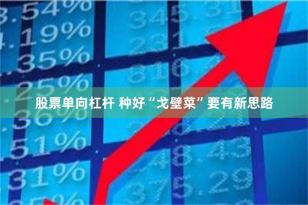 股票单向杠杆 种好“戈壁菜”要有新思路