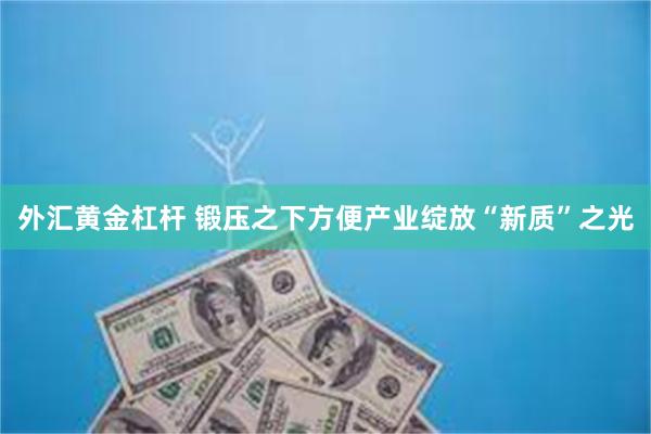 外汇黄金杠杆 锻压之下方便产业绽放“新质”之光