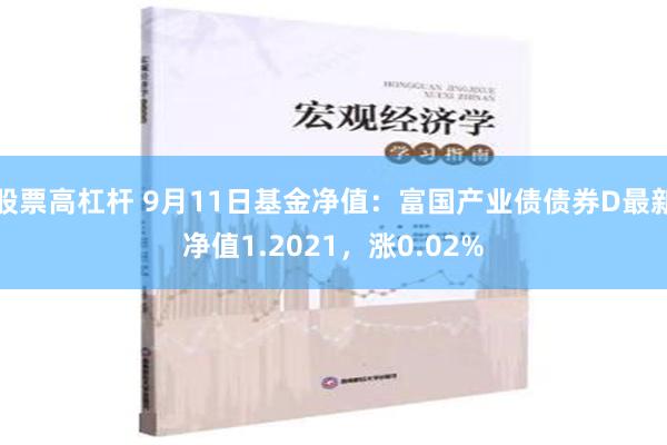 股票高杠杆 9月11日基金净值：富国产业债债券D最新净值1.2021，涨0.02%