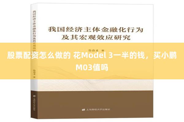 股票配资怎么做的 花Model 3一半的钱，买小鹏M03值吗