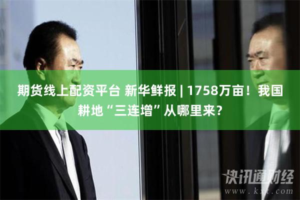 期货线上配资平台 新华鲜报 | 1758万亩！我国耕地“三连增”从哪里来？