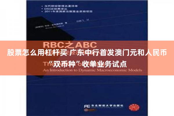 股票怎么用杠杆买 广东中行首发澳门元和人民币“双币种”收单业务试点