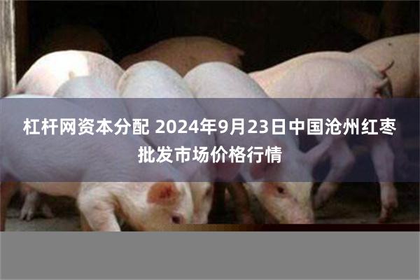 杠杆网资本分配 2024年9月23日中国沧州红枣批发市场价格行情