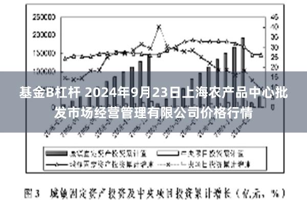 基金B杠杆 2024年9月23日上海农产品中心批发市场经营管理有限公司价格行情