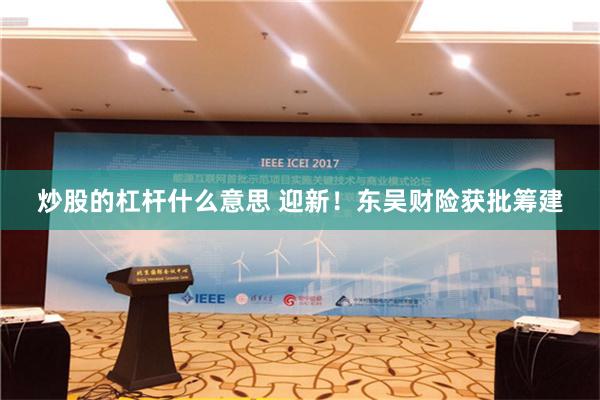 炒股的杠杆什么意思 迎新！东吴财险获批筹建