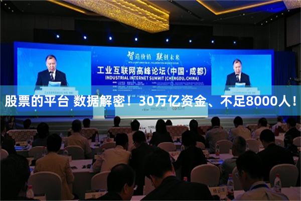 股票的平台 数据解密！30万亿资金、不足8000人！