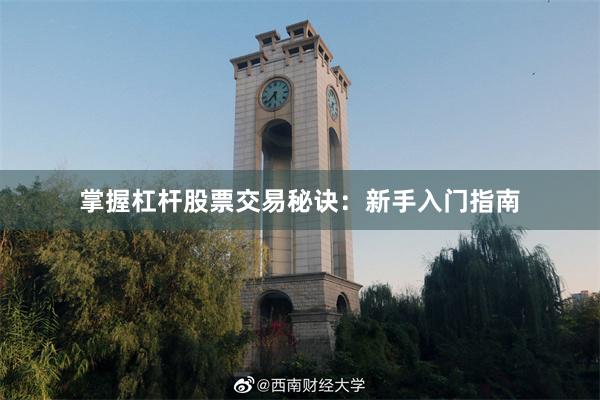 掌握杠杆股票交易秘诀：新手入门指南