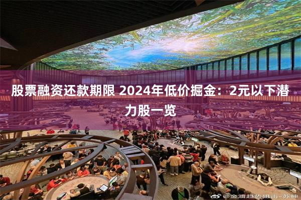 股票融资还款期限 2024年低价掘金：2元以下潜力股一览