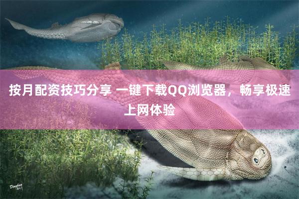 按月配资技巧分享 一键下载QQ浏览器，畅享极速上网体验