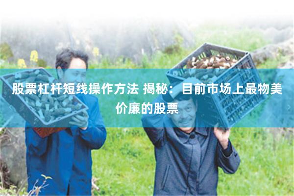 股票杠杆短线操作方法 揭秘：目前市场上最物美价廉的股票