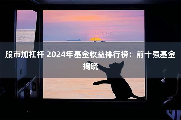 股市加杠杆 2024年基金收益排行榜：前十强基金揭晓