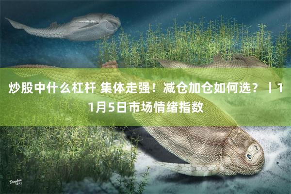 炒股中什么杠杆 集体走强！减仓加仓如何选？丨11月5日市场情绪指数