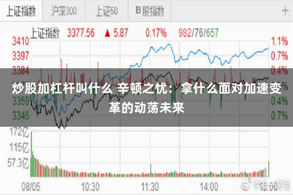 炒股加杠杆叫什么 辛顿之忧：拿什么面对加速变革的动荡未来