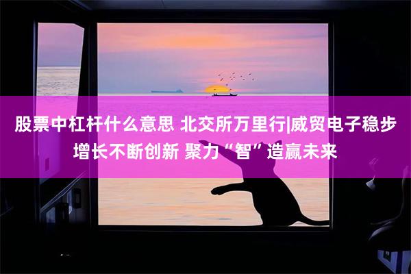 股票中杠杆什么意思 北交所万里行|威贸电子稳步增长不断创新 聚力“智”造赢未来