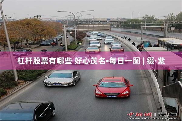 杠杆股票有哪些 好心茂名•每日一图 | 缀·紫