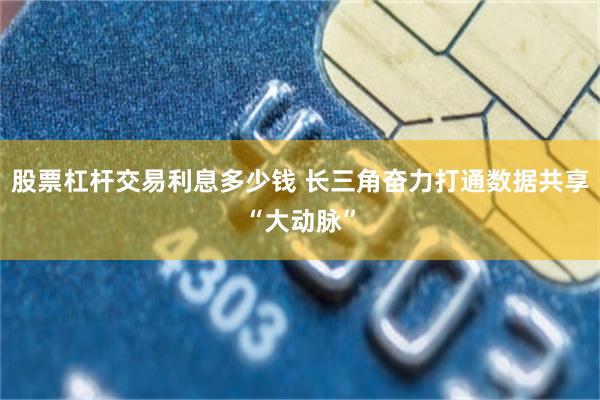 股票杠杆交易利息多少钱 长三角奋力打通数据共享“大动脉”