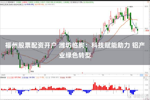 福州股票配资开户 潍坊临朐：科技赋能助力 铝产业绿色转型