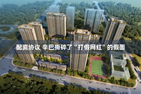 配资协议 辛巴撕碎了“打假网红”的假面
