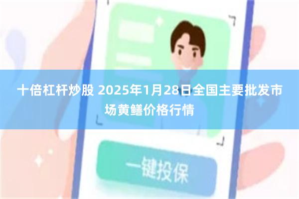 十倍杠杆炒股 2025年1月28日全国主要批发市场黄鳝价格行情
