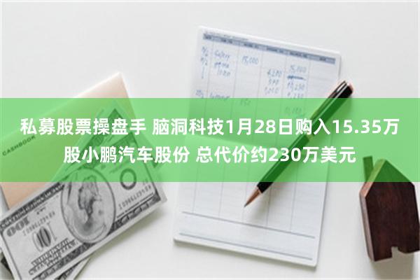 私募股票操盘手 脑洞科技1月28日购入15.35万股小鹏汽车股份 总代价约230万美元