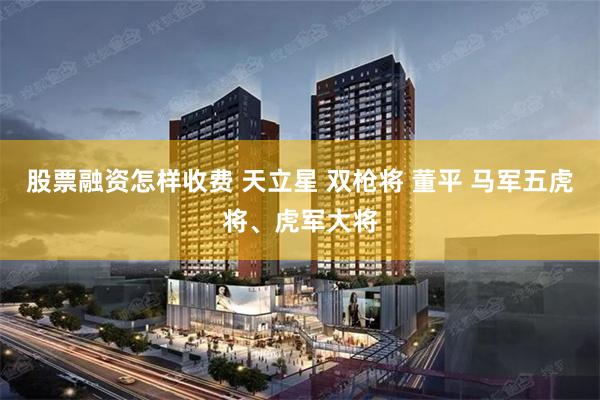 股票融资怎样收费 天立星 双枪将 董平 马军五虎将、虎军大将