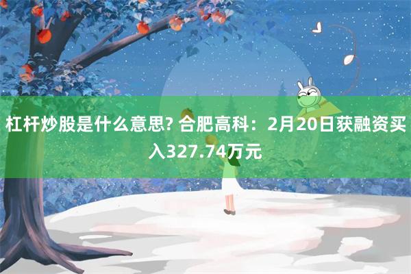 杠杆炒股是什么意思? 合肥高科：2月20日获融资买入327.74万元