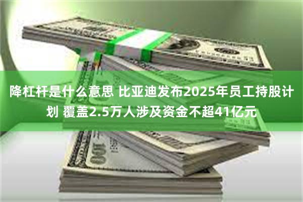 降杠杆是什么意思 比亚迪发布2025年员工持股计划 覆盖2.5万人涉及资金不超41亿元