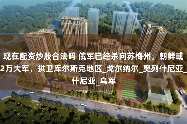 现在配资炒股合法吗 俄军已经杀向苏梅州，朝鲜或再派2万大军，拱卫库尔斯克地区_戈尔纳尔_奥列什尼亚_乌军