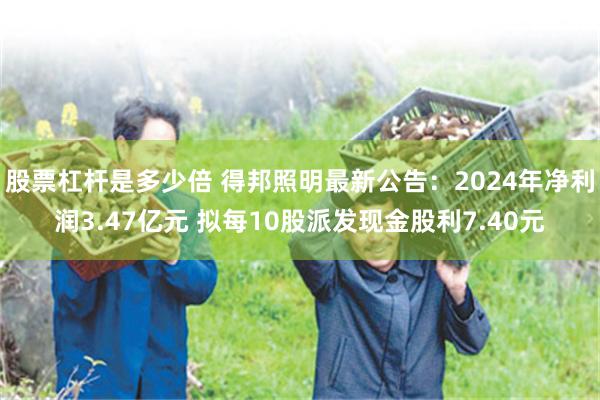 股票杠杆是多少倍 得邦照明最新公告：2024年净利润3.47亿元 拟每10股派发现金股利7.40元