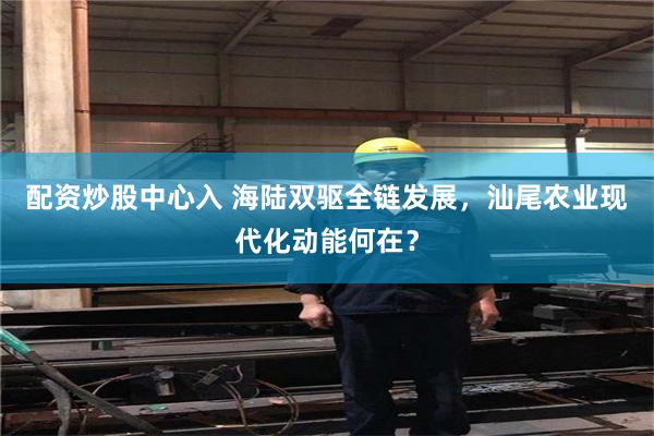 配资炒股中心入 海陆双驱全链发展，汕尾农业现代化动能何在？