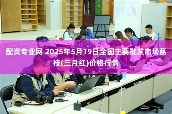 配资专业网 2025年5月19日全国主要批发市场荔枝(三月红)价格行情