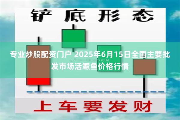 专业炒股配资门户 2025年6月15日全国主要批发市场活鳜鱼价格行情