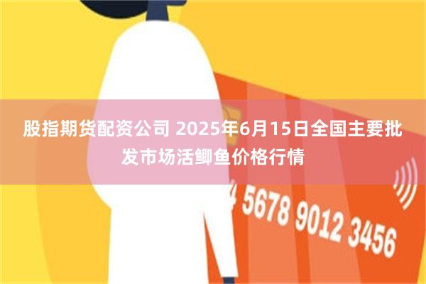 股指期货配资公司 2025年6月15日全国主要批发市场活鲫鱼价格行情