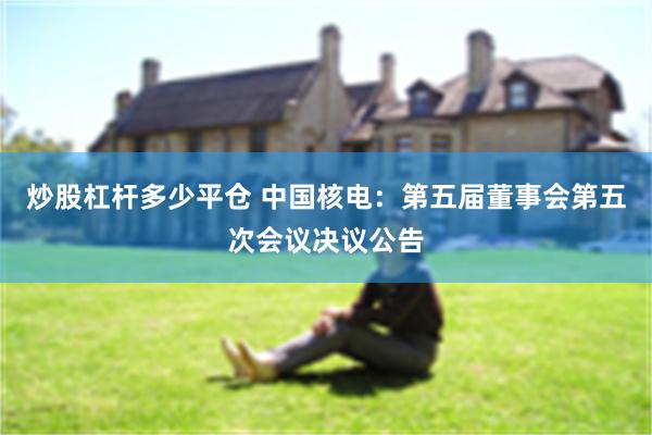 炒股杠杆多少平仓 中国核电：第五届董事会第五次会议决议公告