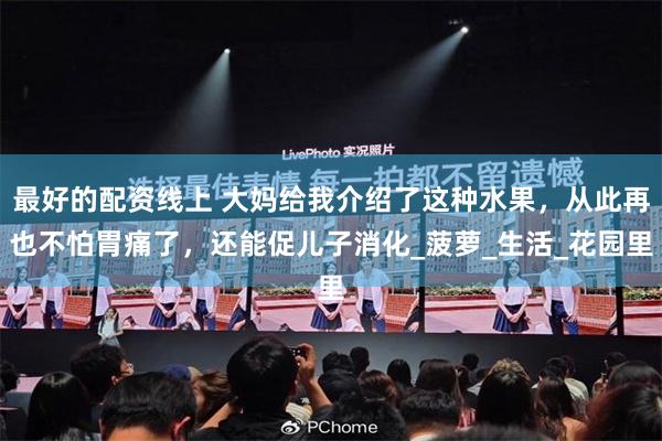 最好的配资线上 大妈给我介绍了这种水果，从此再也不怕胃痛了，还能促儿子消化_菠萝_生活_花园里