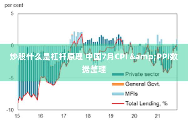 炒股什么是杠杆原理 中国7月CPI &PPI数据整理