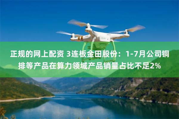 正规的网上配资 3连板金田股份：1-7月公司铜排等产品在算力领域产品销量占比不足2%