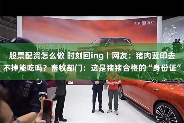 股票配资怎么做 时刻回ing丨网友：猪肉蓝印去不掉能吃吗？畜牧部门：这是猪猪合格的“身份证”