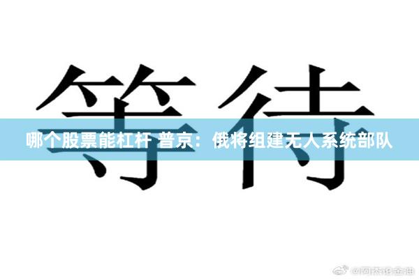 哪个股票能杠杆 普京：俄将组建无人系统部队