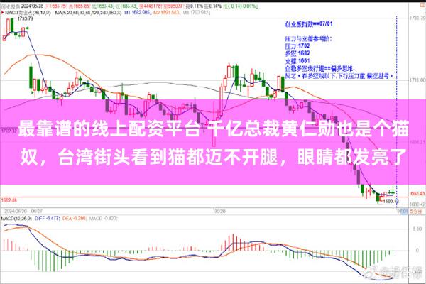 最靠谱的线上配资平台 千亿总裁黄仁勋也是个猫奴，台湾街头看到猫都迈不开腿，眼睛都发亮了