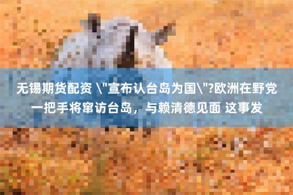 无锡期货配资 ＂宣布认台岛为国＂?欧洲在野党一把手将窜访台岛，与赖清德见面 这事发
