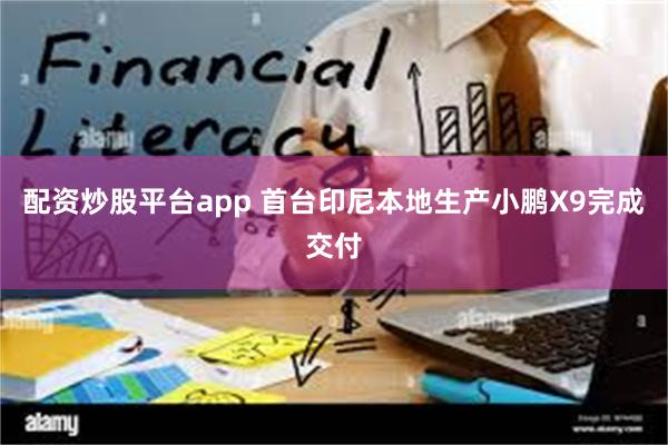 配资炒股平台app 首台印尼本地生产小鹏X9完成交付